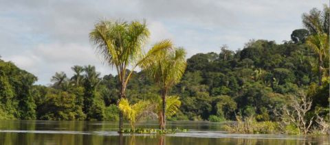 Tapajos - Foto de Wilson Cabral Junior